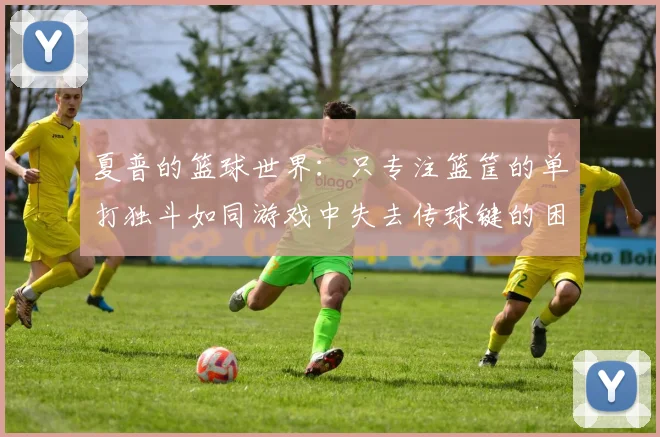 夏普的篮球世界：只专注篮筐的单打独斗如同游戏中失去传球键的困境
