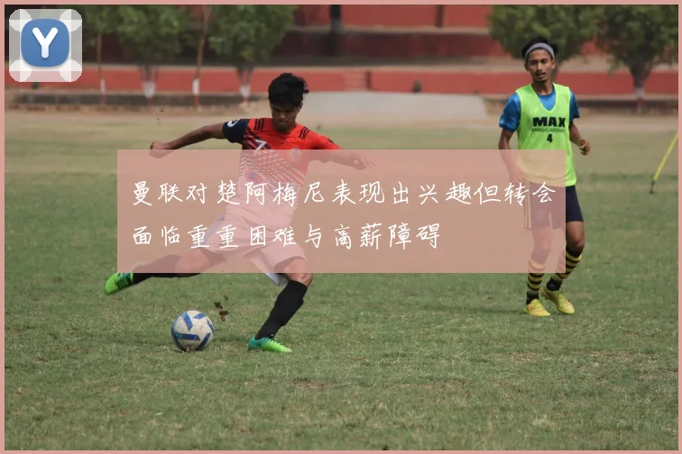 曼联对楚阿梅尼表现出兴趣但转会面临重重困难与高薪障碍