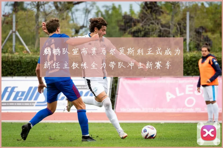 鹈鹕队宣布贾马尔莫斯利正式成为新任主教练全力带队冲击新赛季
