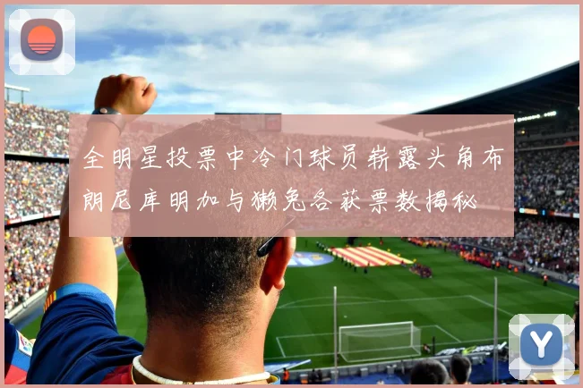 全明星投票中冷门球员崭露头角布朗尼库明加与獭兔各获票数揭秘